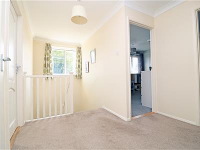 Picture 24